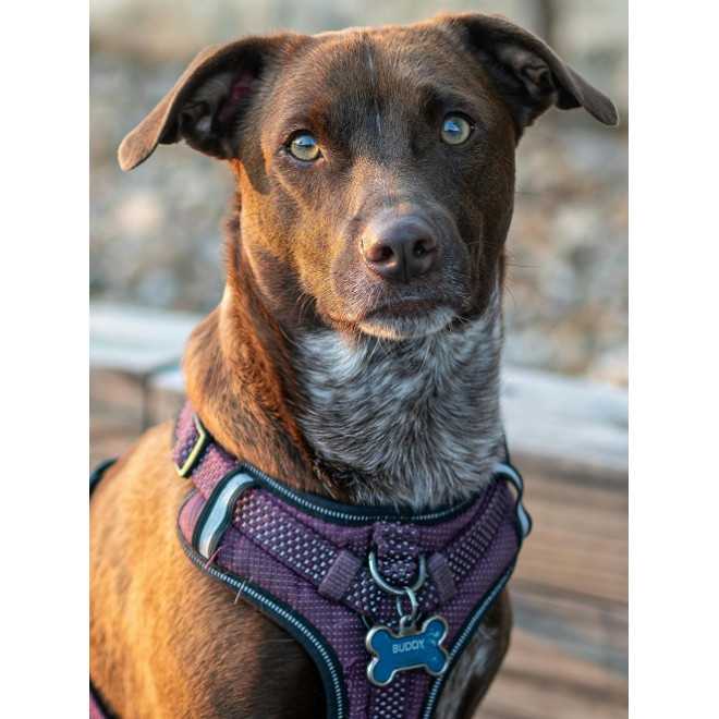 PÓŁKOLA RYMARSKIE KALETNICZE 30/3...