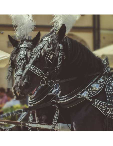 KÓŁKA METALOWE ZGRZEWANE 50/6 MM - OP/50 szt