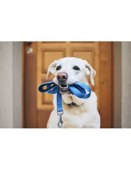 TAŚMA NOŚNA 3 cm szerokości