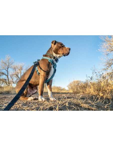 TAŚMA NOŚNA 3 cm szerokości